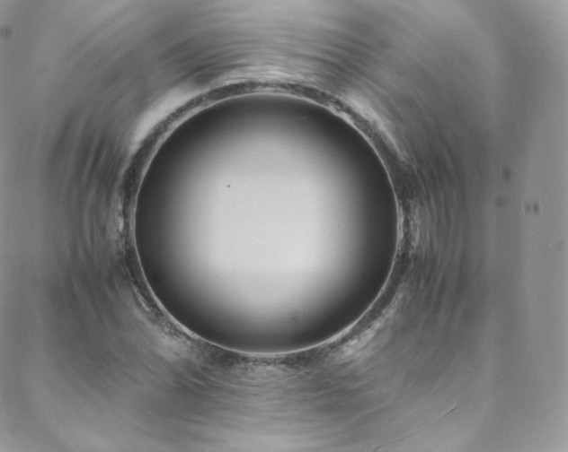 X0000088601070200705251208