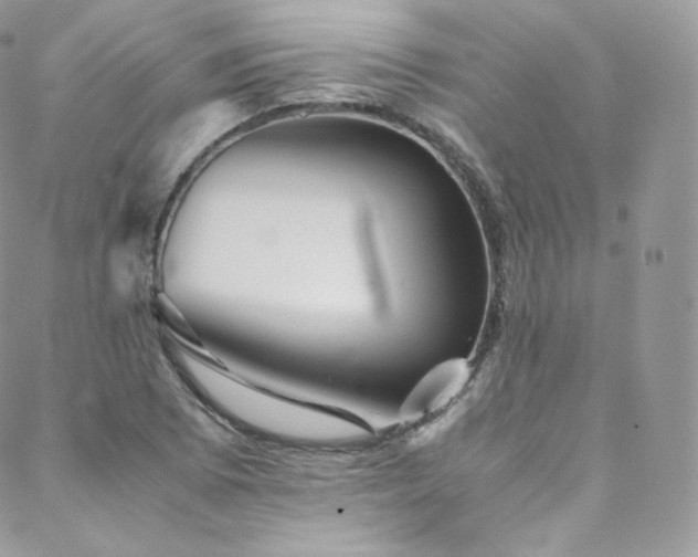 X0000088601073200705251208