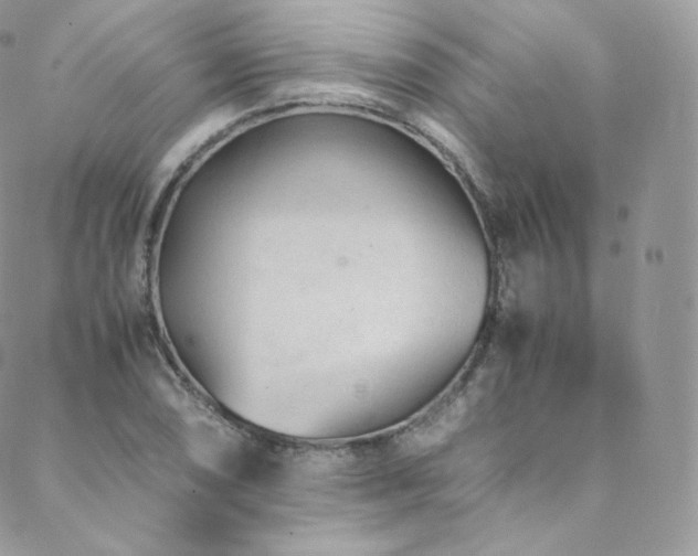 X0000088601074200705251208