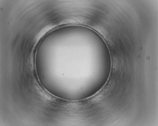 X0000088601078200705251208