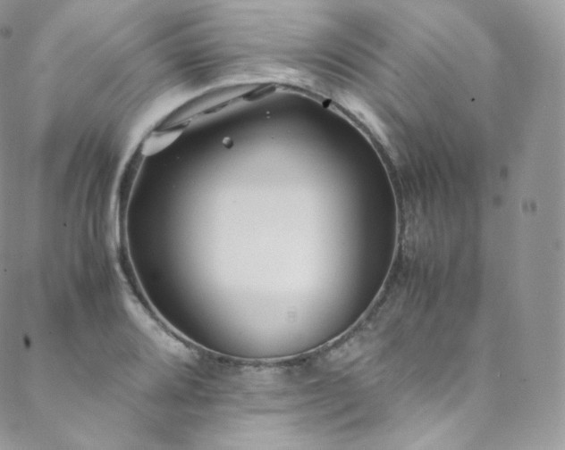 X0000088601080200705251208