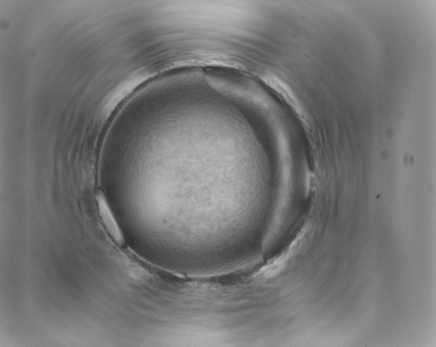 X0000088601081200705251208