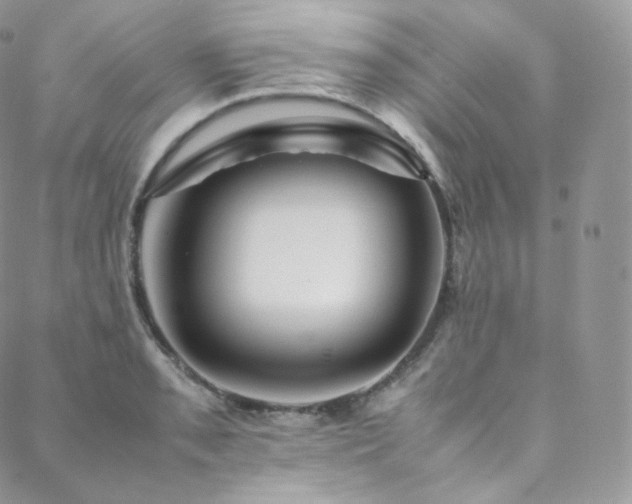 X0000088601085200705251208