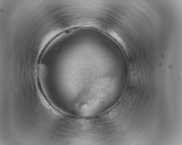 X0000088601088200705251208