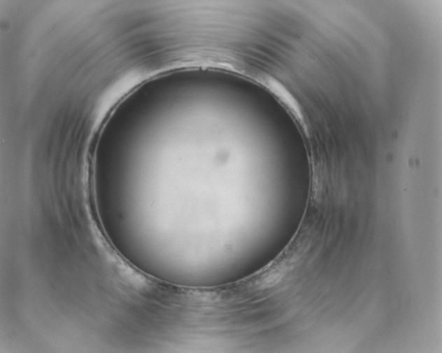 X0000088601096200705251208