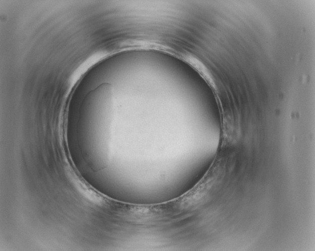 X0000088601098200705251208