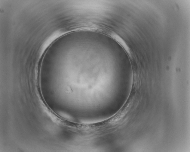 X0000088601099200705251208