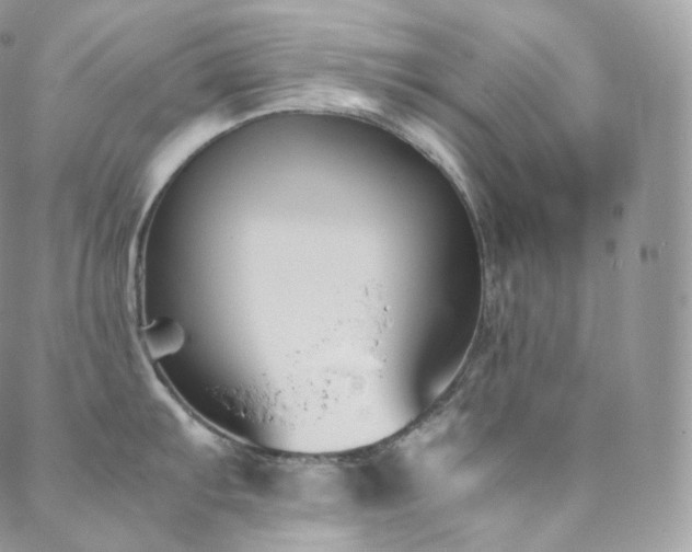 X0000088601103200705251208