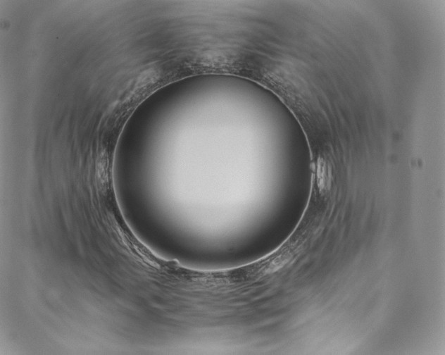 X0000088601107200705251207