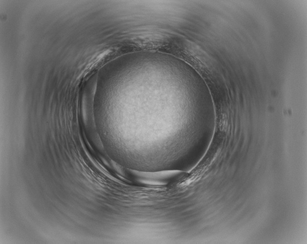 X0000088601108200705251207