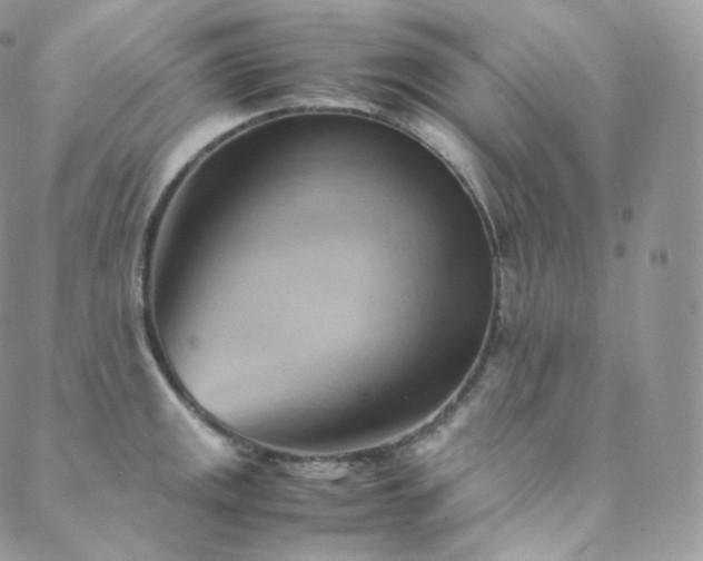 X0000088601141200705251208