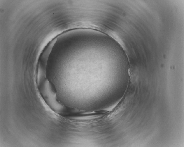 X0000088601144200705251208