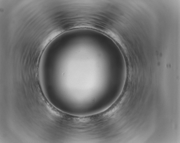 X0000088601145200705251208