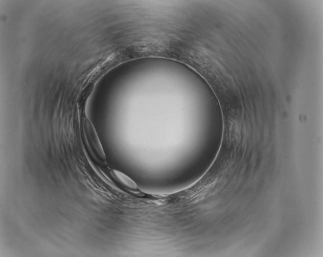 X0000088601250200705251205