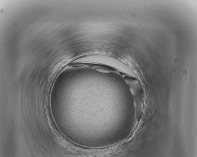 X0000088600001200706011214