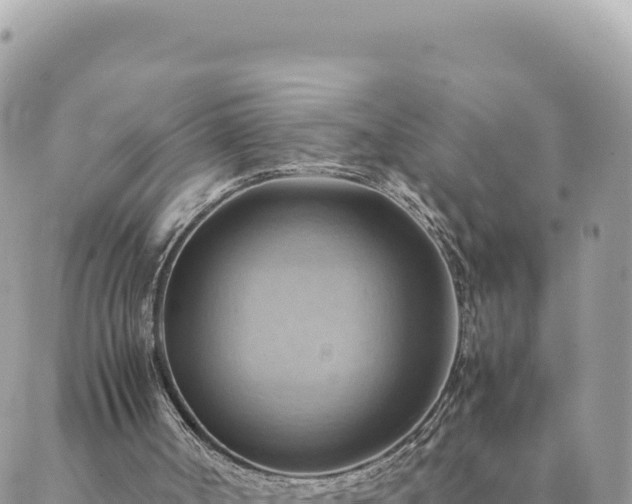 X0000088600002200706011214