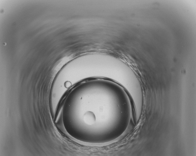 X0000088600003200706011214