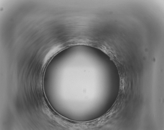 X0000088600004200706011214