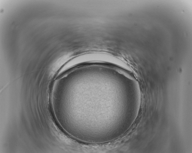 X0000088600005200706011214