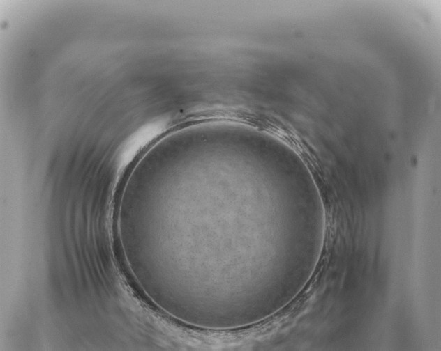 X0000088600006200706011214