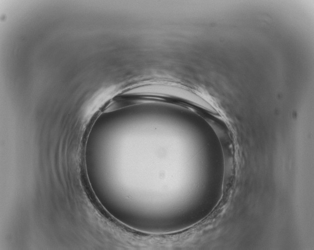 X0000088600007200706011214