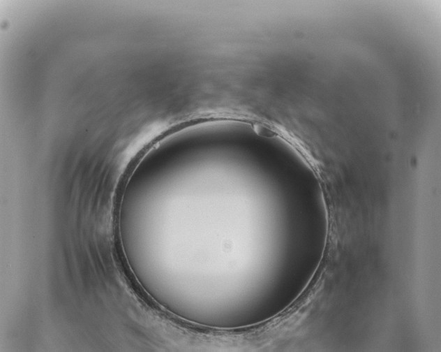 X0000088600008200706011214