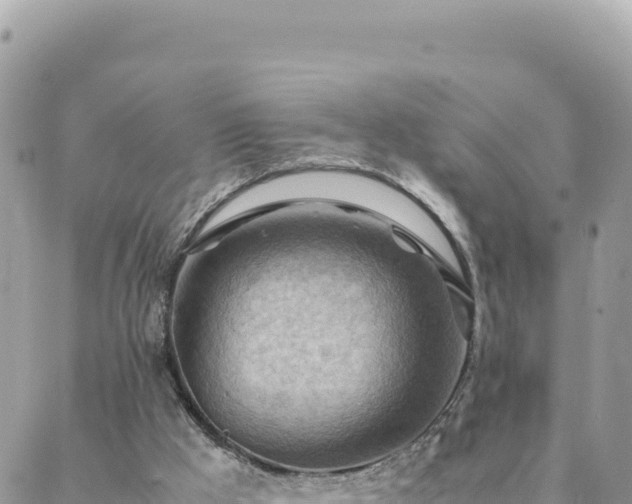 X0000088600009200706011214