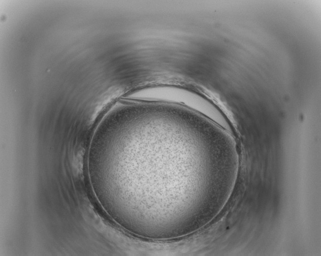 X0000088600010200706011214