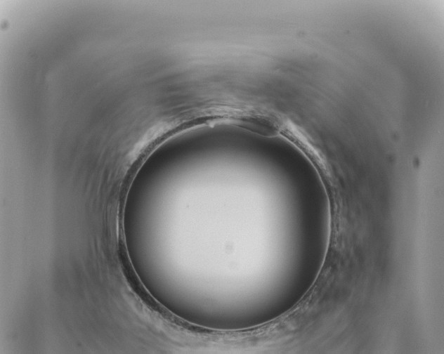 X0000088600011200706011214