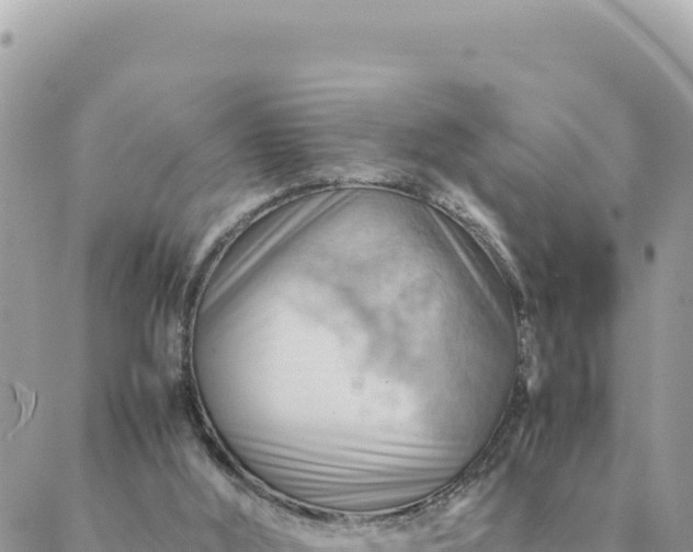 X0000088600012200706011214