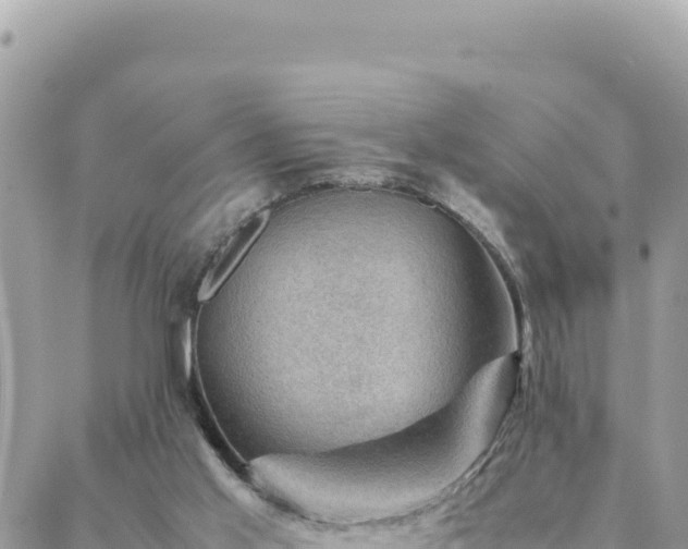 X0000088600013200706011214