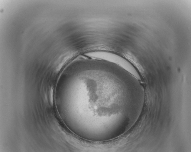 X0000088600014200706011214