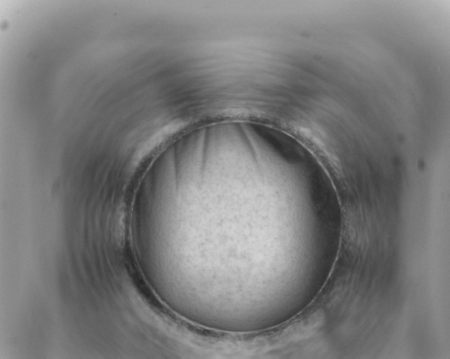 X0000088600016200706011214