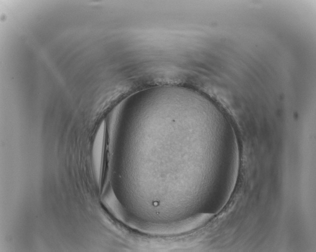 X0000088600017200706011214