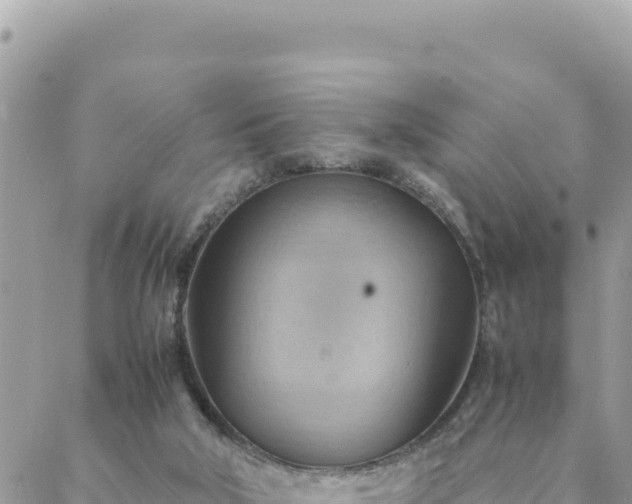 X0000088600018200706011214