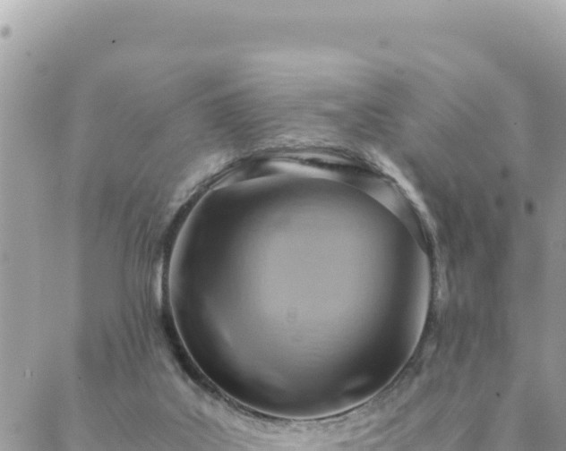 X0000088600019200706011214