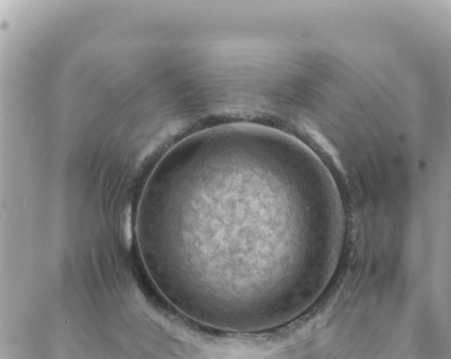 X0000088600020200706011214