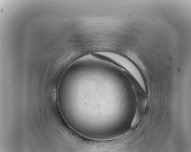 X0000088600021200706011214