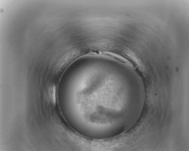 X0000088600022200706011214