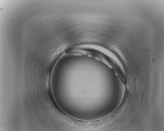 X0000088600023200706011214