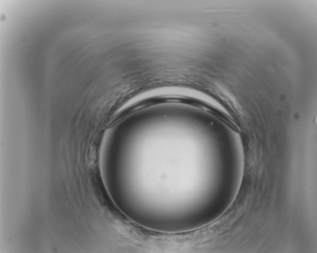 X0000088600025200706011214