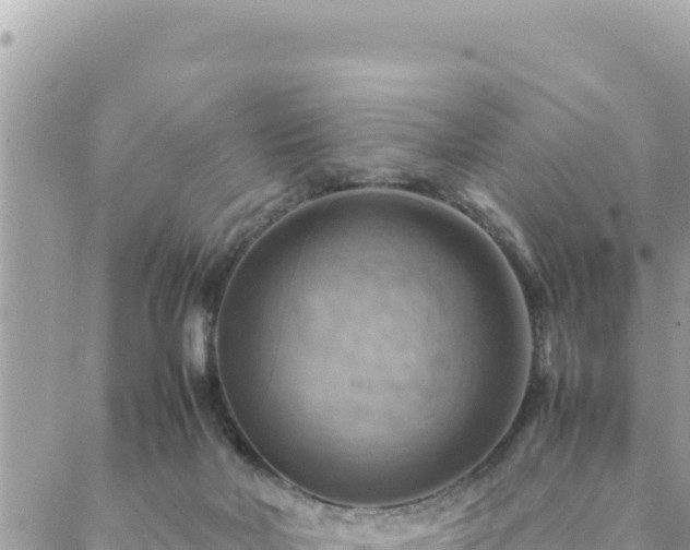 X0000088600026200706011214