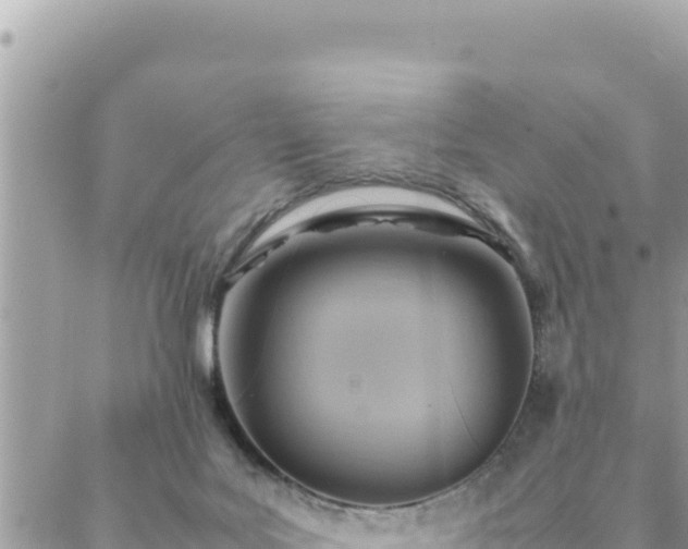 X0000088600027200706011214