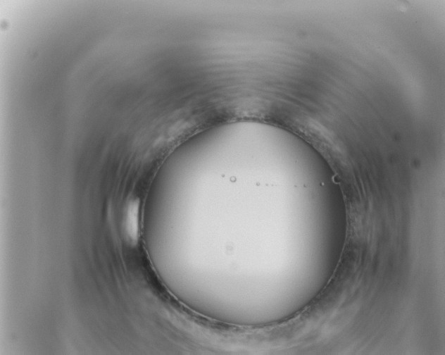 X0000088600028200706011214