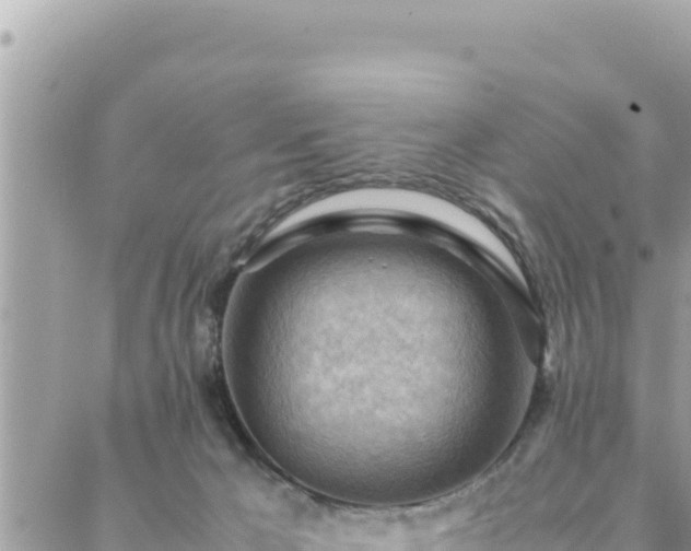 X0000088600029200706011214