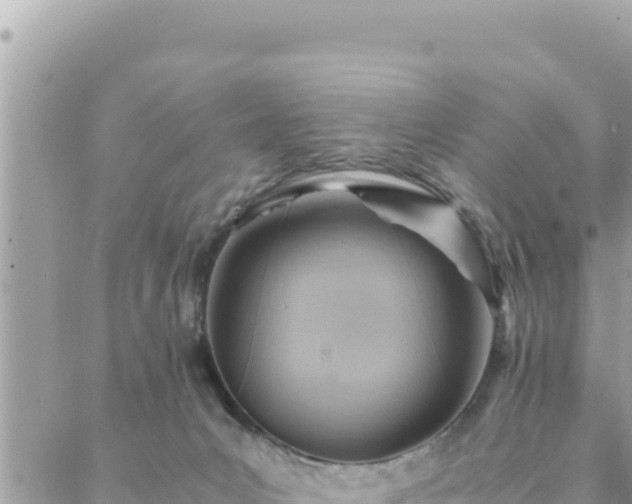 X0000088600031200706011214