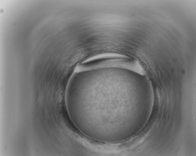 X0000088600032200706011214