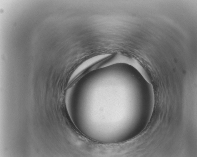 X0000088600033200706011214