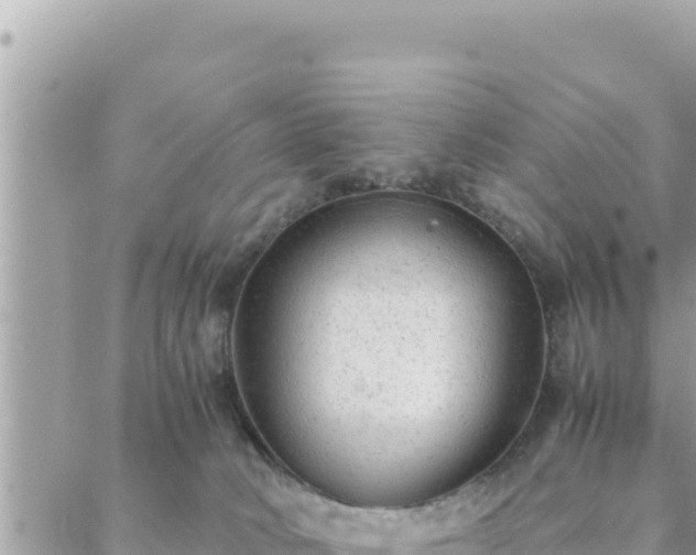 X0000088600034200706011214