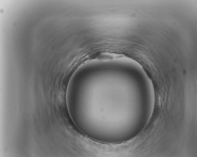 X0000088600035200706011214